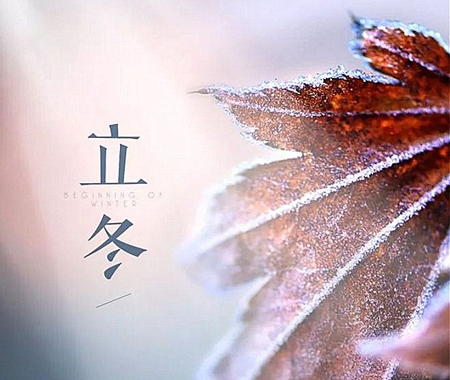 15731750652355.jpg c5d198e5991b6e57eb491ed9798dbc7c385779f415839-EVM09C_fw658.jpg
