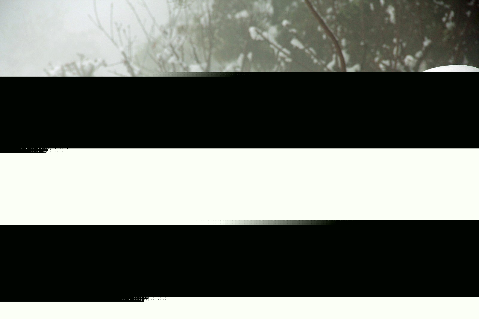 16176767196269.jpg