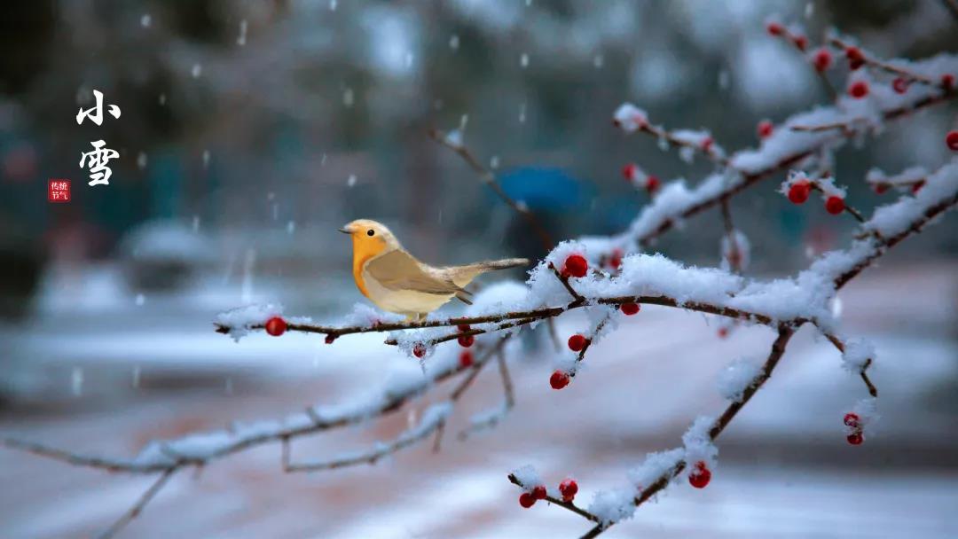 16375496326614.jpg src=http___www.kdzyy.cn_data_upload_image_20191123_1574485743295815.jpg&refer=http___www.kdzyy.jpg