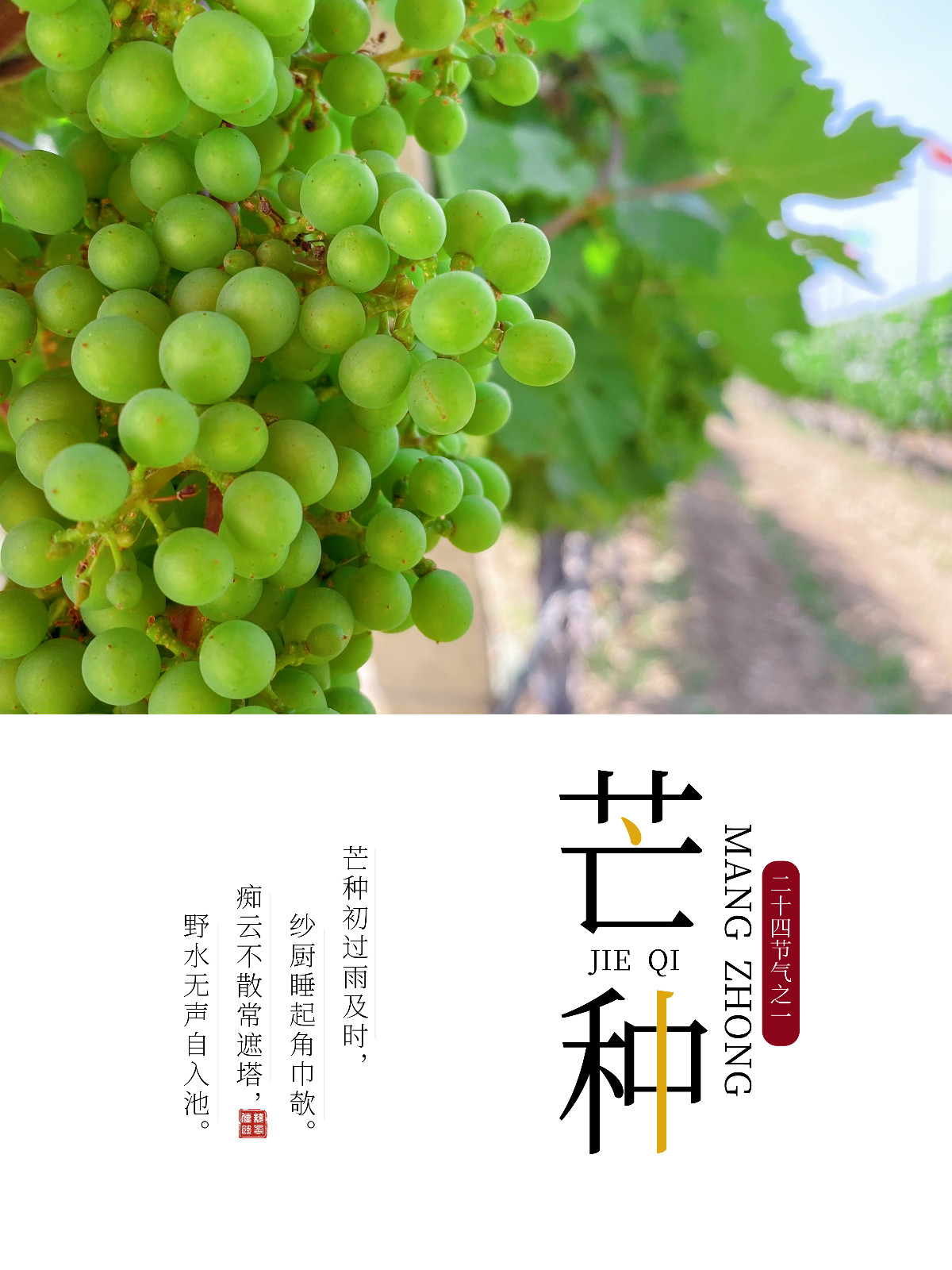 16544959915205.jpg 13 副本.jpg
