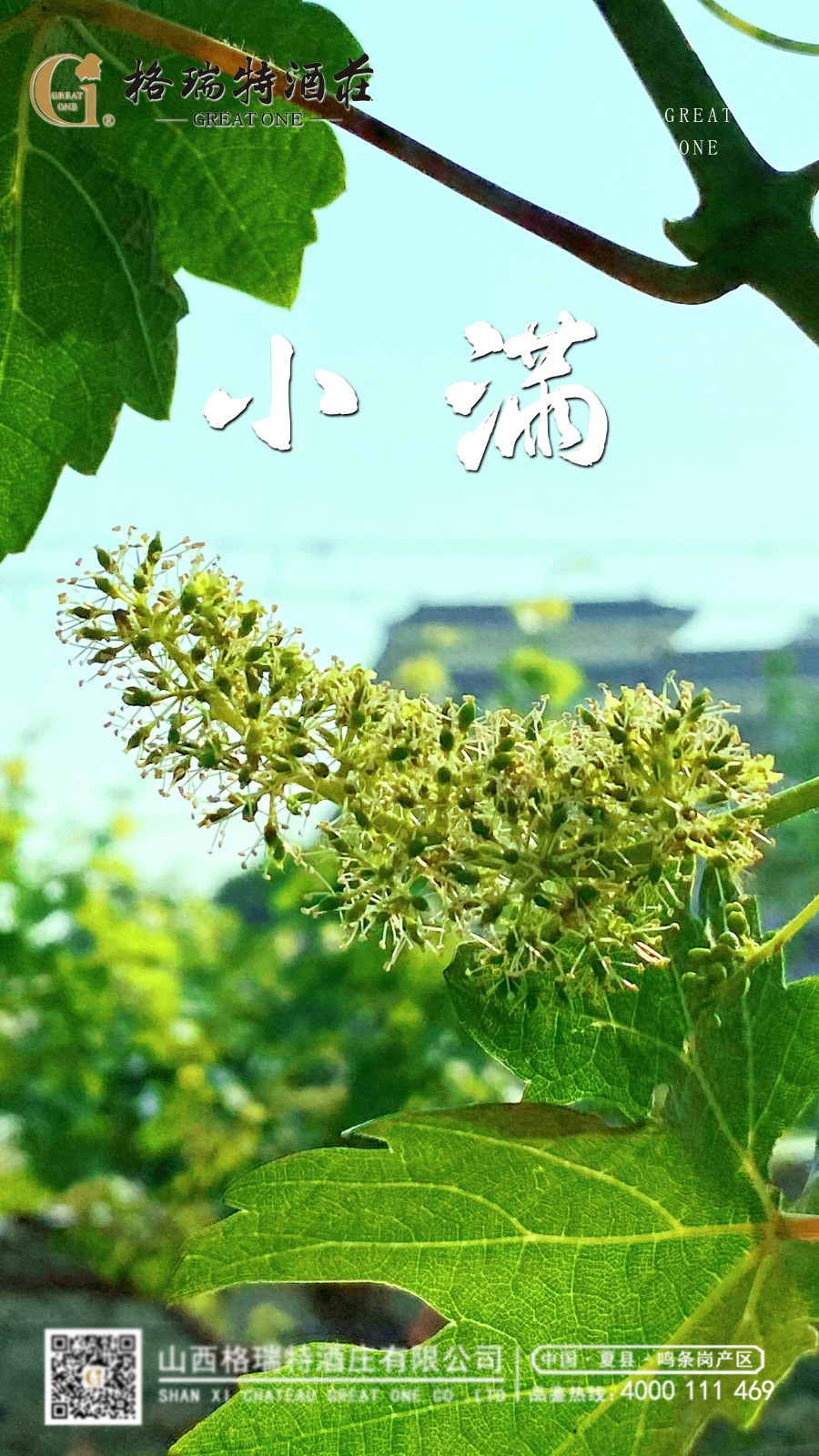 16853499058191.jpg 小滿.jpg